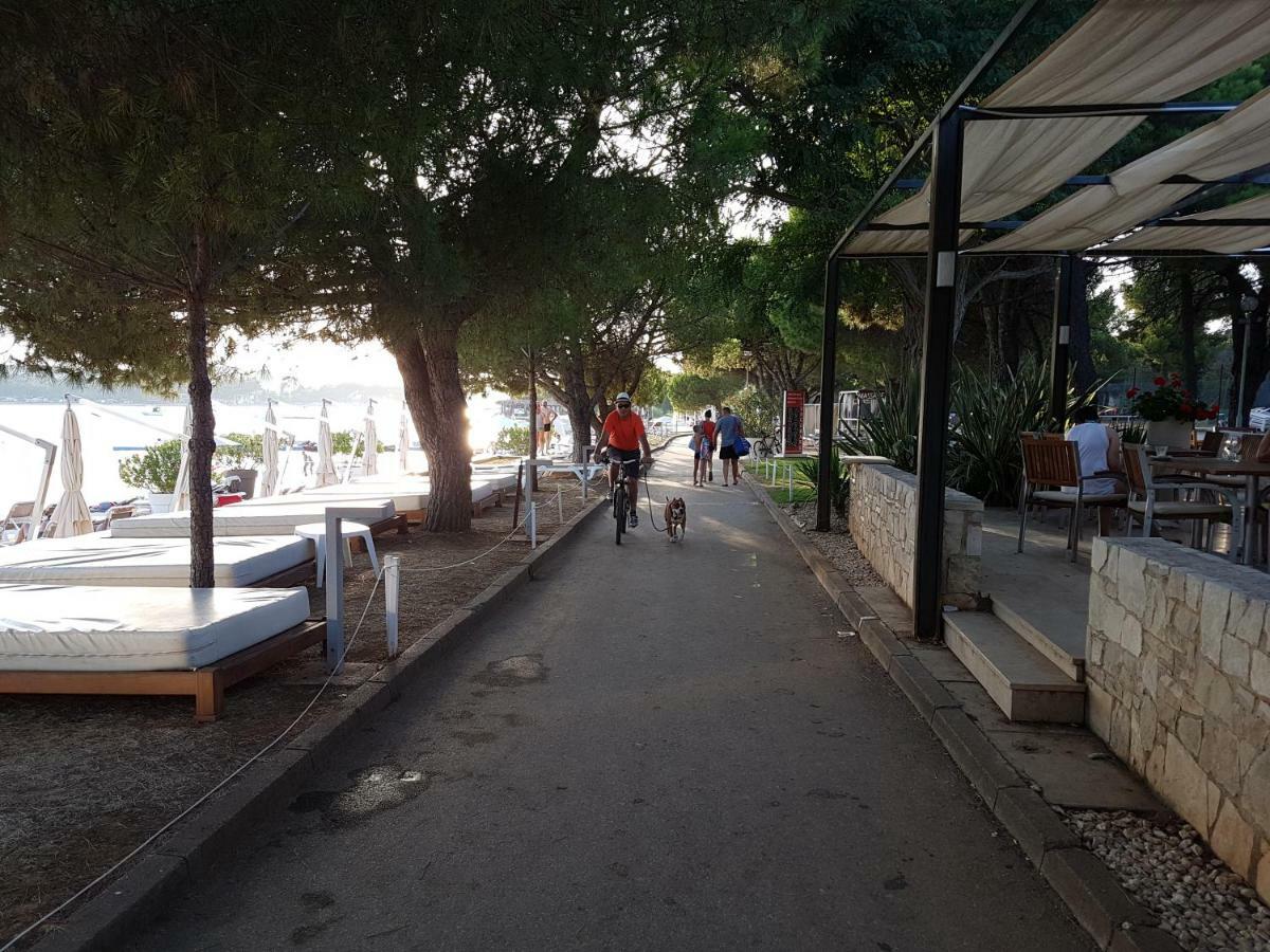 Belvedere ميدولين المظهر الخارجي الصورة