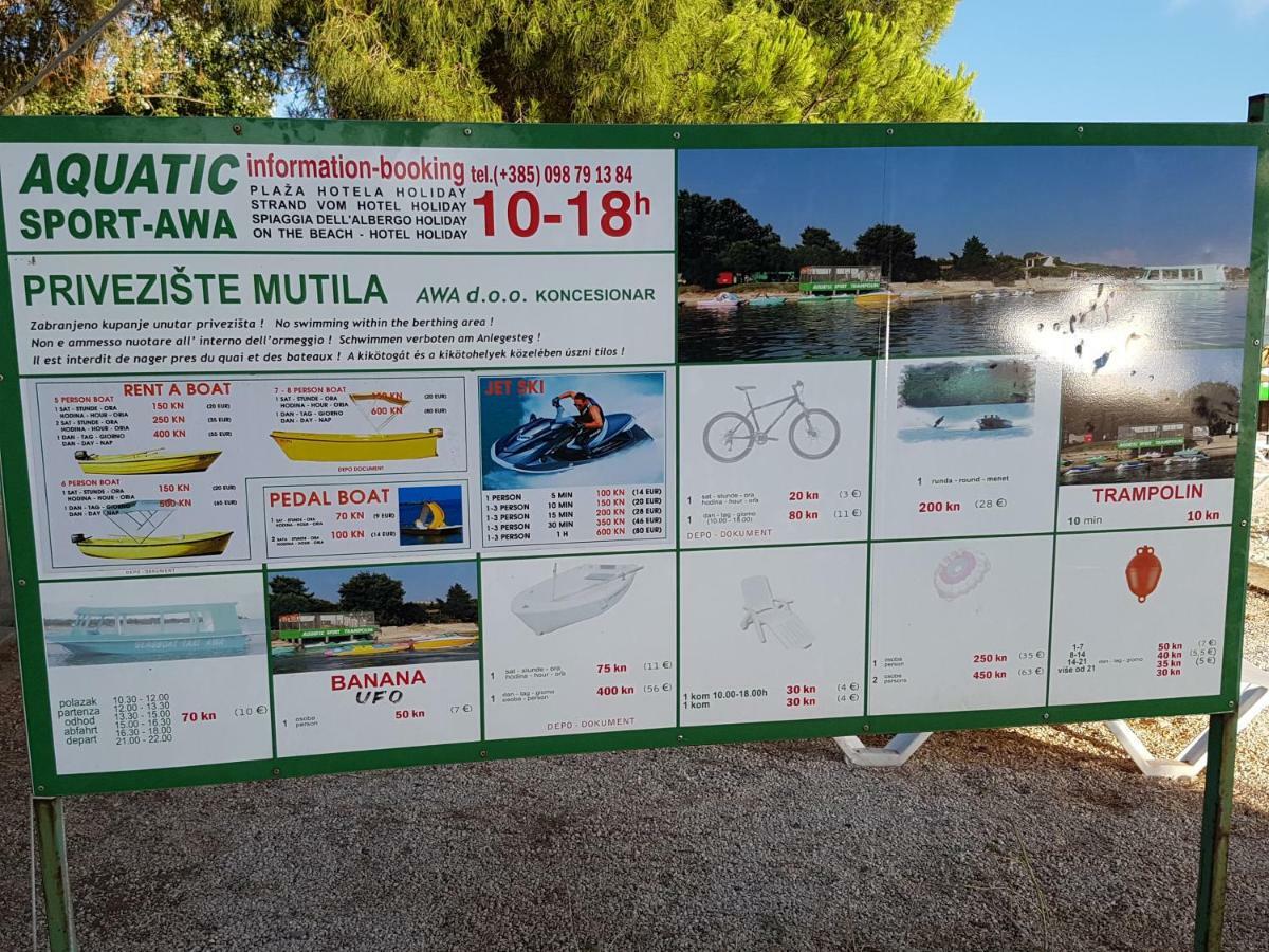 Belvedere ميدولين المظهر الخارجي الصورة